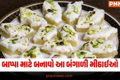Ganesh Chaturthi,Ganesh Puja, Ganesh Utsav, Ganesh Utsav Celebration, Ganesh Chaturthi 2024, Ganesha Idols, Desserts, Famous Dessert Food, Ganesh Chaturthi, Ganesh Chaturthi Celebration, Healthy Desserts, મીઠાઈઓ, ફેમસ ડેઝર્ટ ફૂડ, ગણેશ ચતુર્થી, ગણેશ ચતુર્થી સેલિબ્રેશન,
