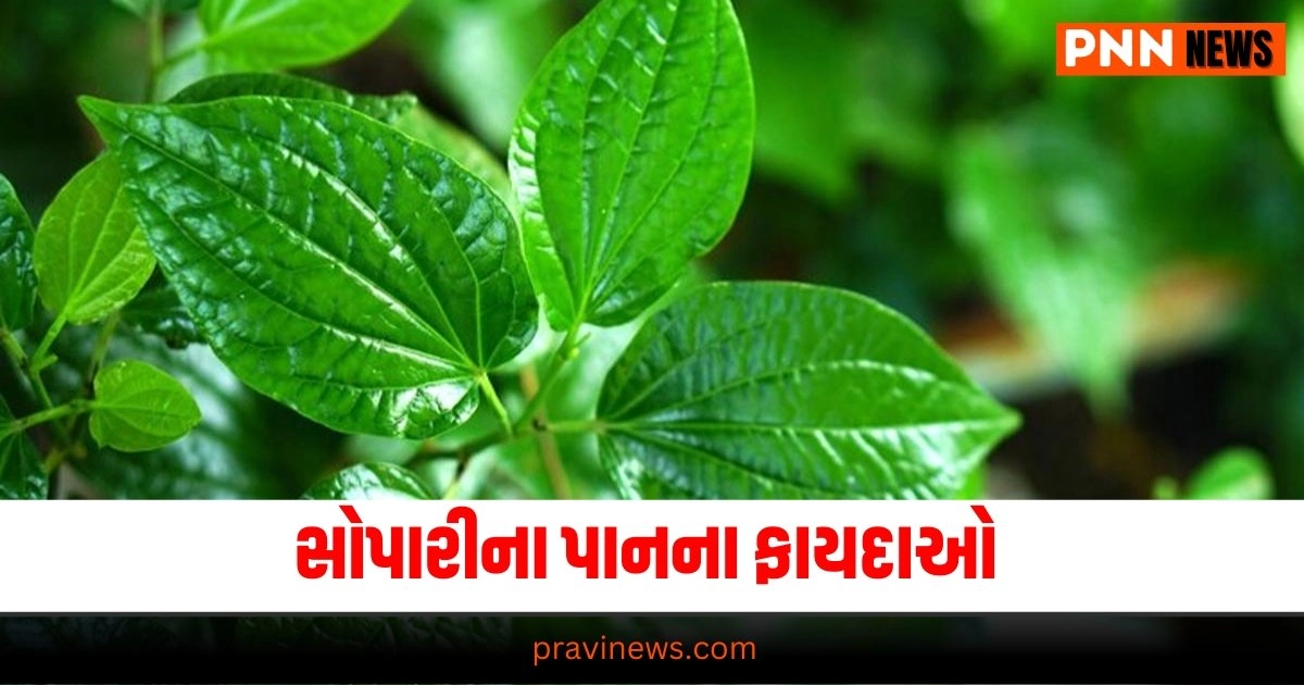 Foods, How Control Thyroid, Thyroid Healing Foods, superfoods for thyroid, થાઈરોઇડ, થાઈરોઈડને કેવી રીતે નિયંત્રિત કરવું