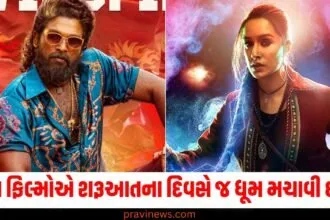 Year Ender 2024, ફિલ્મો, (Movies), શરૂઆતના દિવસે ,(On opening day), ધૂમ મચાવવી, (Made a splash), કમાયા, (Earned),