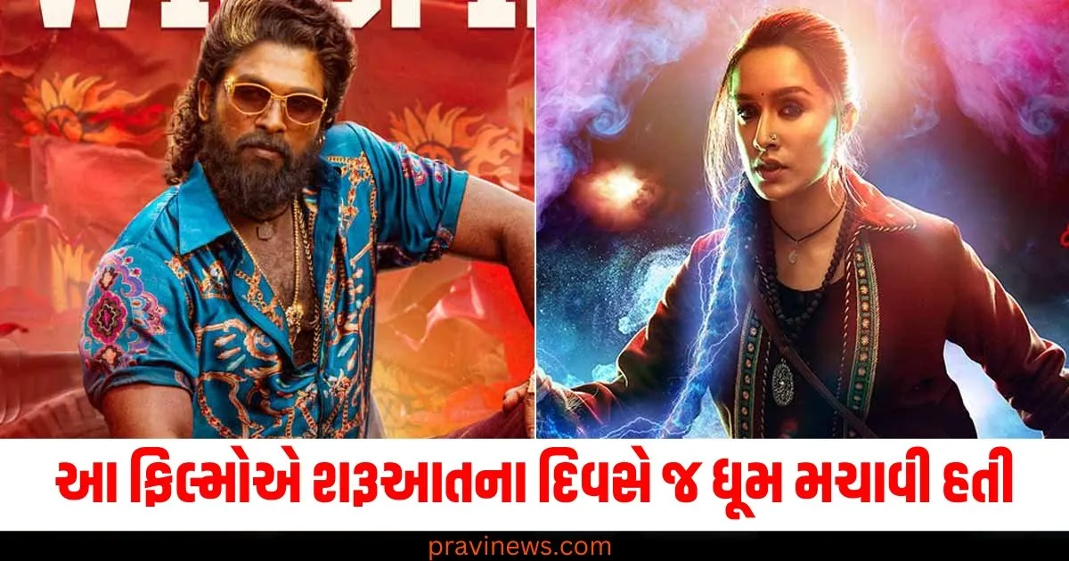 Year Ender 2024, ફિલ્મો, (Movies), શરૂઆતના દિવસે ,(On opening day), ધૂમ મચાવવી, (Made a splash), કમાયા, (Earned),