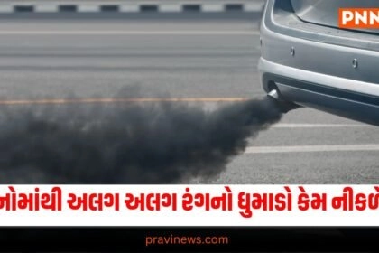 વાહનોમાંથી કાળો-સફેદ કે વાદળી રંગનો ધુમાડો કેમ નીકળે છે, કયા ધુમાડાનો અર્થ શું છે? https://www.pravinews.com/tag/automobile-news