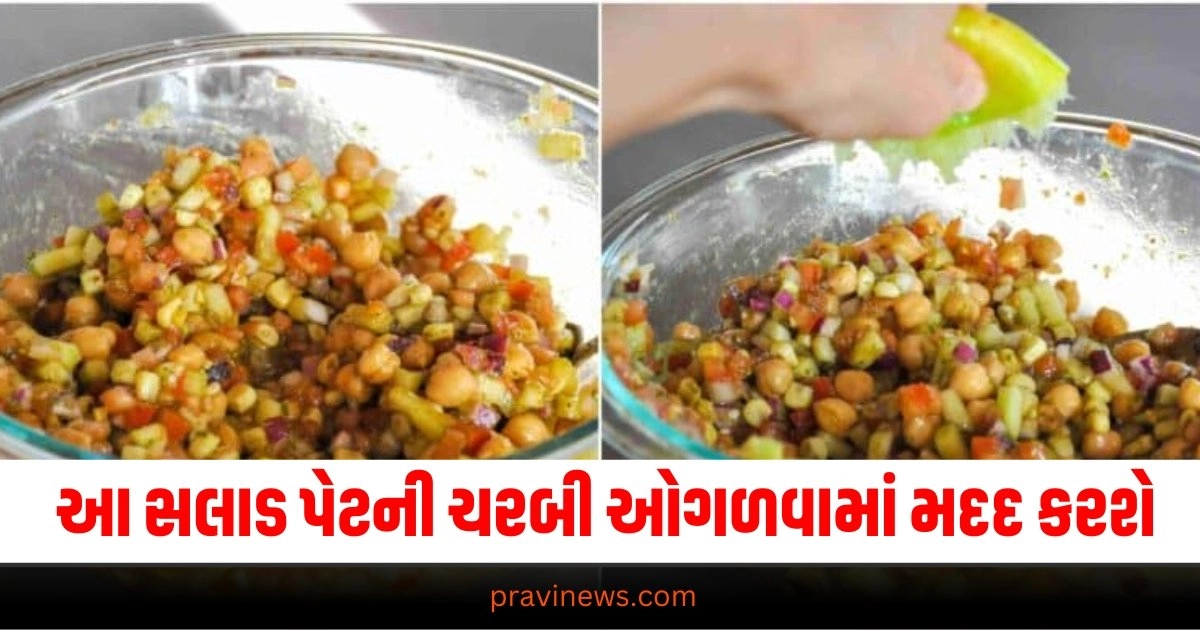 આ સ્વાદિષ્ટ સલાડ પેટની ચરબી ઓગળવામાં મદદ કરશે, જાણો સરળ રેસીપી https://www.pravinews.com/world-news-in-gujarati/cm-mamata-banerjee-latest-updates-kolkata-doctors-protest-13-september-37185