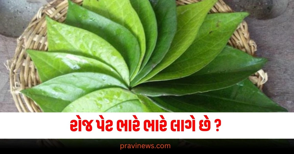 રોજ પેટ ભારે ભારે લાગે છે ? જમીને પછી આ લઇ લ્યો પેટ થઇ જશે હળવું ફૂલ જેવું https://www.pravinews.com/business/ather-energy-faces-backlash-for-including-chapatti-in-onam-sadhya-interesting-reply-by-company-37654