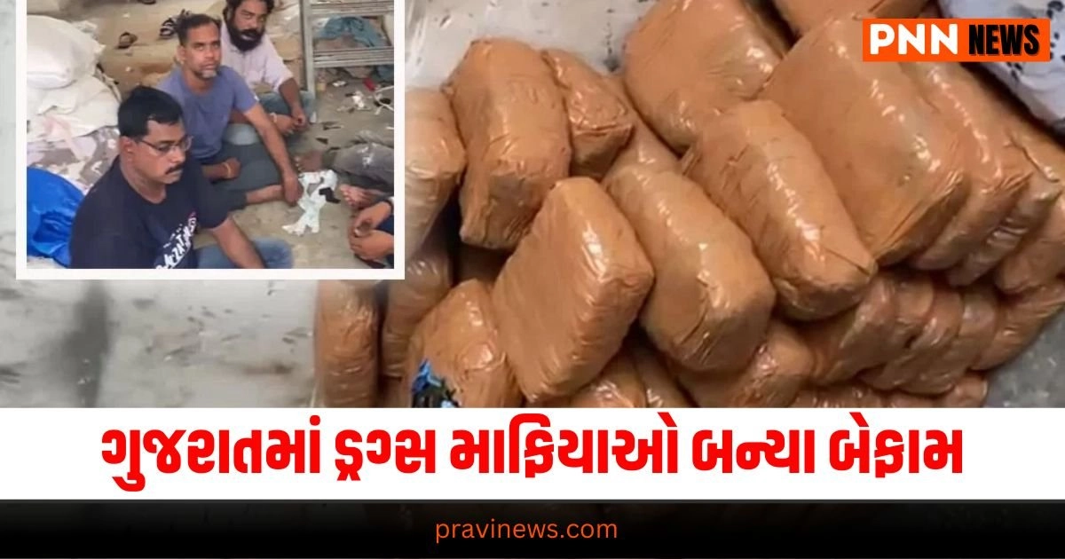 Ahmedabad, Ahmedabad News, Ahmedabad Crime Branch, Drug Mafia, Drug Peddler, Crime, Ahmedabad News Today, Ahmedabad News In Gujarati, Gujarat News, Gujarat News Today, Latest Gujarati News, Gujarati Breaking News, ગુજરાતી, ગુજરાતી સમાચાર, ગુજરાત, અમદાવાદ,