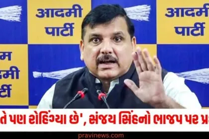 'શું તે પણ રોહિંગ્યા છે', સંજય સિંહનો ભાજપ પર પ્રહાર https://www.pravinews.com/author/pravinews