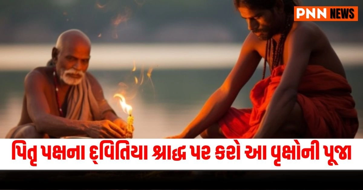 Pitru Paksha 2024, Dvitia Shraddh, Tree Worship, Career Progression, Pitru Paksha Rituals,