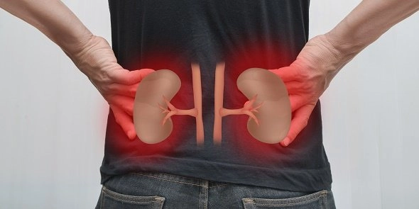 જો તમારી કિડનીમાં તકલીફ હશે તો આ 5 લક્ષણોથી તમને ખબર પડી જશે 2 જો તમારી કિડનીમાં તકલીફ હશે તો આ 5 લક્ષણોથી તમને ખબર પડી જશે https://www.pravinews.com/lifestyle/health-fitness/five-symptoms-related-to-kidney-in-urine-you-should-not-ignore-in-gujarati-38706