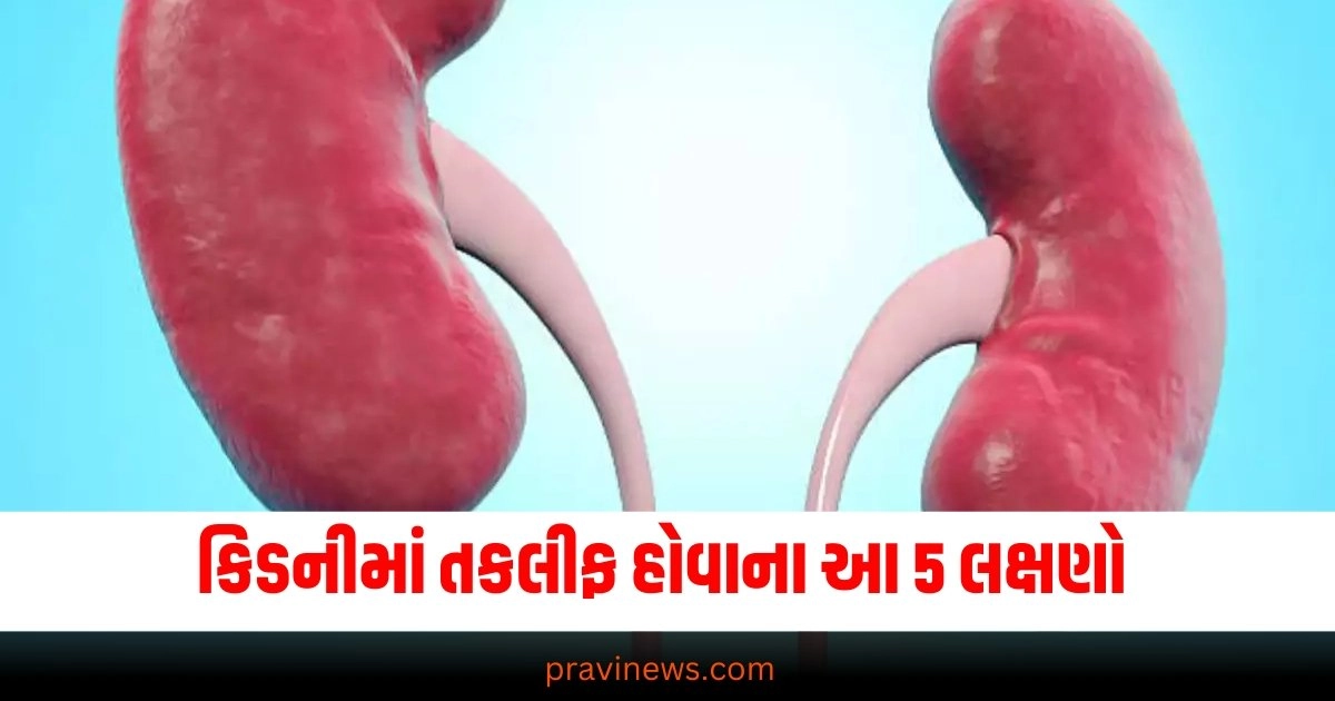 જો તમારી કિડનીમાં તકલીફ હશે તો આ 5 લક્ષણોથી તમને ખબર પડી જશે https://www.pravinews.com/lifestyle/health-fitness/tremors-in-hands-indicates-these-5-serious-diseases-in-gujarati-38745