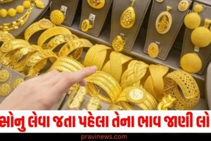 સોનુ લેવા જવાનો વિચાર કરી રહ્યા છો, પણ પહેલા નવો ભાવ ખબર છે? https://www.pravinews.com/business/gold-price