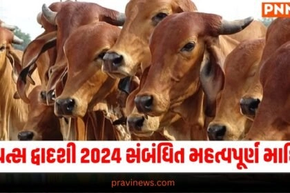 Govatsa Dwadashi 2024 : ગોવત્સ દ્વાદશી 2024 સંબંધિત દરેક મહત્વપૂર્ણ માહિતી https://www.pravinews.com/tag/govatsa-dwadashi-2024