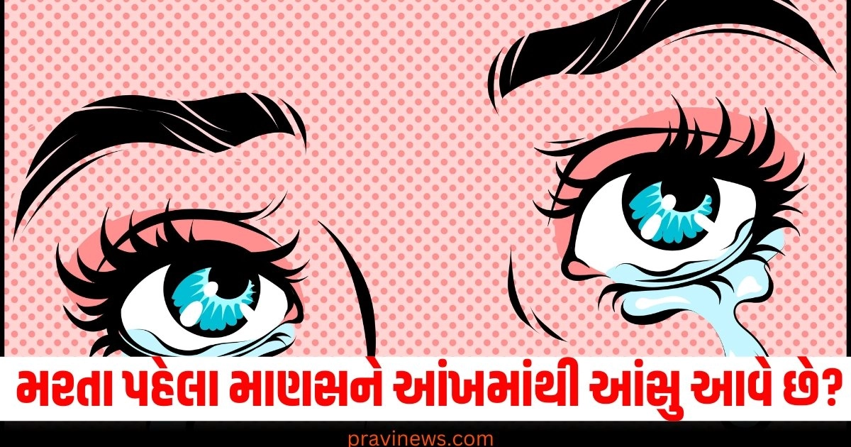 મરતા પહેલા શા માટે માણસને આંખમાંથી આંસુ આવે છે, તેનું કારણ જાણીને તમે ચોંકી જશો https://www.pravinews.com/tag/ajab-gajab-news