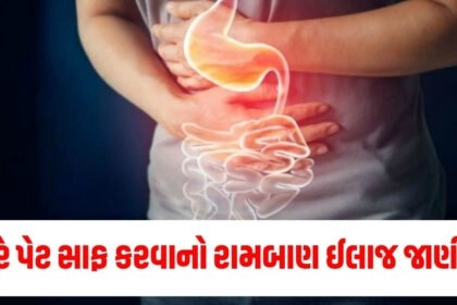 digestion,food,constipation,diseases,health,intestine,fruits,which food removes digestion,how to cure constipation,indigestion,treatment for indigestion,કબજિયાત,કોન્સ્ટીપેશન,ફળો,કબજિયાતની સારવાર માટે ફળ