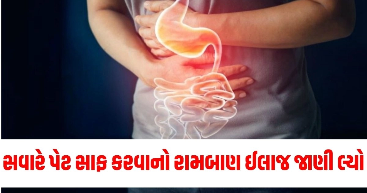 digestion,food,constipation,diseases,health,intestine,fruits,which food removes digestion,how to cure constipation,indigestion,treatment for indigestion,કબજિયાત,કોન્સ્ટીપેશન,ફળો,કબજિયાતની સારવાર માટે ફળ