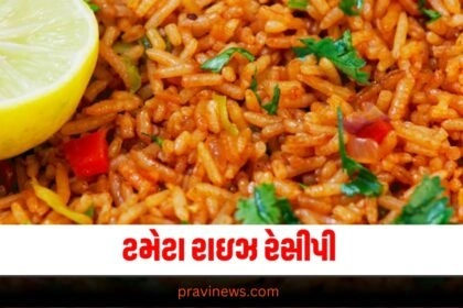 રેગ્યુલર ભાત ખાય ખાયને કંટાળી તો બનાવો ટમેટા રાઇઝ, દરેક વ્યક્તિ કેસે વાહ! https://www.pravinews.com/tag/food-news