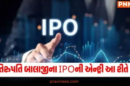 Shree Tirupati Balajee IPO, Shree Tirupati Balajee IPO GMP, Shree Tirupati Balajee IPO review, Shree Tirupati Balajee IPO subscription status, Shree Tirupati Balajee IPO good or bad, Shree