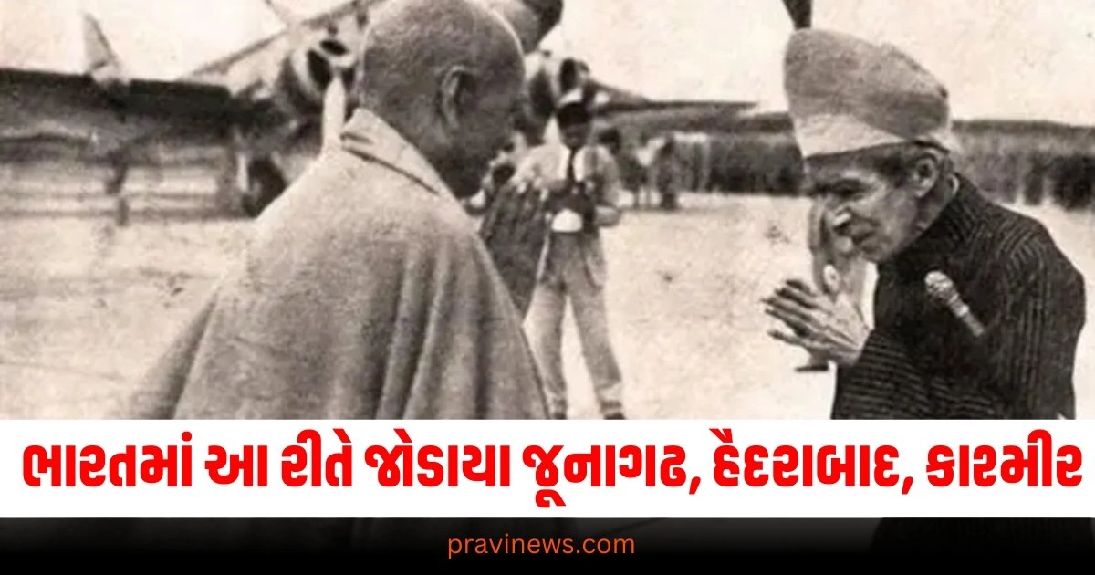 ભારતનો ઇતિહાસ : 17 સપ્ટેમ્બર 1948 ભારતીય સેનાનું દિલધડક "ઓપરેશન પોલો" કે જેને જૂનાગઢ, હૈદરાબાદ અને કાશ્મીરને ભારતમાં જોડ્યા https://www.pravinews.com/food/retired-bureaucrat-wife-hands-over-guide-for-buying-vegetables-netizens-stunned-after-seeing-viral-picture-38182