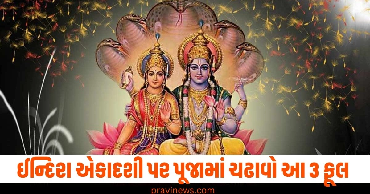 ઈન્દિરા એકાદશી પર પૂજામાં ચઢાવો આ 3 ફૂલ , તમારી ઉપર લક્ષ્મી-નારાયણની થશે કૃપા. https://www.pravinews.com/religion/astrology/aaj-ka-rashifal-27-september-2024-horoscope-today-aries-to-pisces-bhavishyafal-lucky-zodiac-signs-41046