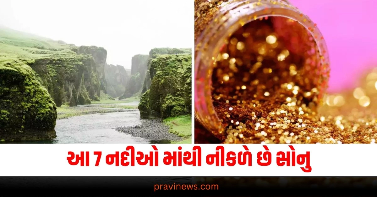 આ 7 નદીઓ માંથી નીકળે છે સોનુ, તેમાંથી ભારતમાં આવેલી આટલી નદીઓ https://www.pravinews.com/technology/what-does-mean-by-cc-and-bcc-in-gmail-when-to-use-which-option-37067