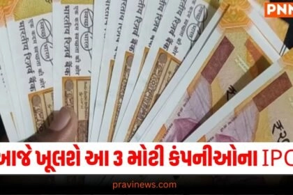 Stock Market, IPO 2024, IPO News, IPO Allotment, IPO Alert, આઈપીઓ, શેરબજાર, કમાણી, રૂપિયા, Gujarati news, latest Gujarati news