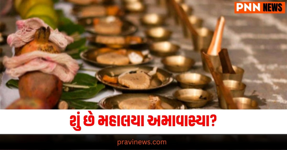 "Pitra Paksha 2024,Mahalaya Amavasya 2024,Sarva Pitru Amavasya 2024,સર્વ પિતૃ અમાસ, અમાસ 2024