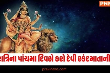 નવરાત્રિના પાંચમા દિવસે કરો દેવી સ્કંદમાતાની પૂજા, જાણો મંત્ર,વિધિ, અને વિશેષ ભોગની રેસીપી https://www.pravinews.com/navratri