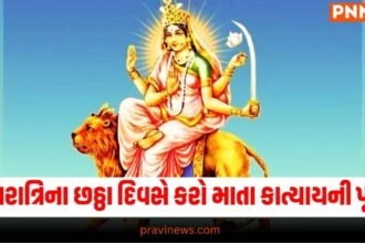 નવરાત્રિના છઠ્ઠા દિવસે કરો માતા કાત્યાયની પૂજા, જાણો મંત્ર,વિધિ, અને વિશેષ ભોગની રેસીપી https://www.pravinews.com/navratri/which-fruits-should-not-be-offered-to-goddess-durga-during-navratri-130160