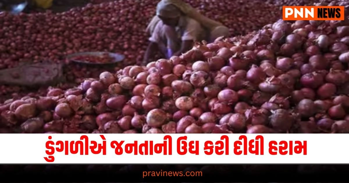 "JUNAGADH ONION PRICE HIKE MANSOON , ONION PRICES INCREASED, છૂટક બજારમાં ડુંગળીના ભાવ વધ્યા, જુનાગઢમાં ડુંગળીની આવક, JUNAGADH ONION PRICES INCREASED, JUNAGADH IN THE WHOLESALE MARKET, THE PRICE OF ONION REACHED 50 RUPEES PER