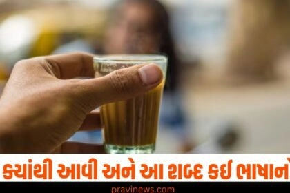 ચા, મૂળ, ભાષા, હિન્દી નામ, પસંદ,