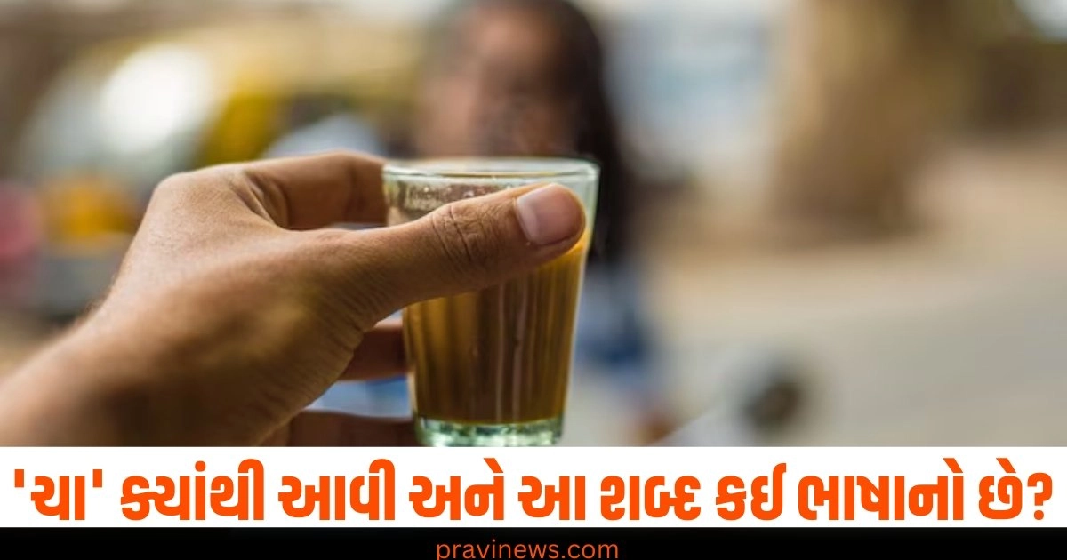 ચા, મૂળ, ભાષા, હિન્દી નામ, પસંદ,