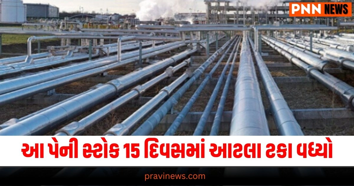 "Penny, Multibagger Stock, Business Latest News, Business News In Gujarati, Gujarati News, Syncom Formulations, Good Return, Share Market, પેની, મલ્ટિબેગર સ્ટોક,