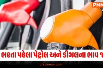 Petrol, Diesel, Oil Sector, Oil Companies, Union Budget 2024, Petrol Diesel Price Today, business, પેટ્રોલ, ડીઝલ, ભાવ, કિંમત, ઓઈલ, બજેટ, ઓઈલ સેક્ટર, તેલ કંપનીઓ, ગુજરાત સમાચાર, તાજા ભાવ, પેટ્રોલ ડીઝલની કિંમત, Business Sector, Petrol, Diesel, Oil Sector,