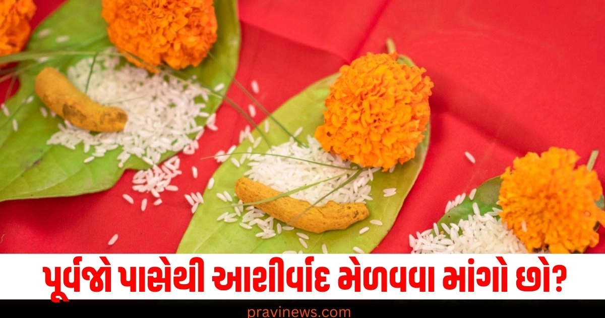 "Pitru Paksha Upay for Pitra Dosh, pitru paksha 2024, Pitra Dosh Upay, Pitru Paksha 2024 Shradh, Remedy of Pitra Paksha, Pitru Paksha Upay 2024, પિતૃદોષ શાંતિ ઉપાય