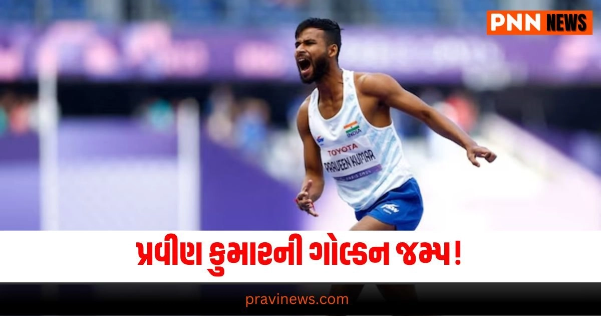 પ્રવીણ કુમારની ગોલ્ડન જમ્પ!:"Paralympics 2024, Praveen Kumar, India, Gold, Gold Medal, Paris, High Jump, પેરાલિમ્પિક્સ 2024, પ્રવીણ કુમાર, ગોલ્ડ, ગોલ્ડ મેડલ, પેરિસ, હાઈ જમ્પ