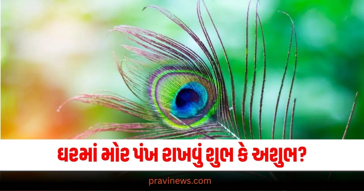 dharma bhakti,peacock,vastu dosh,vastu tips,ધર્મભક્તિ"