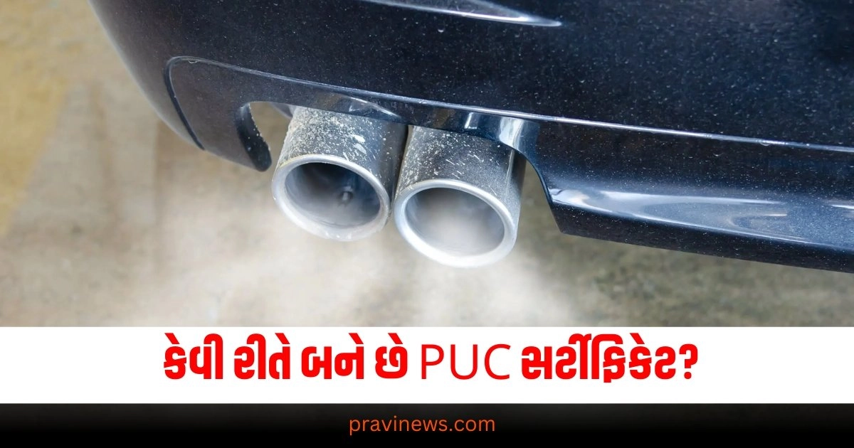 કેવી રીતે બને છે PUC સર્ટીફિકેટ? તેની ઓફલાઈન અને ઓનલાઈન પ્રક્રિયા શું છે? https://www.pravinews.com/travel-news/indian-railways-first-class-ac-coach-6-special-facilities-seating-arrangement-provided-in-travel-37451