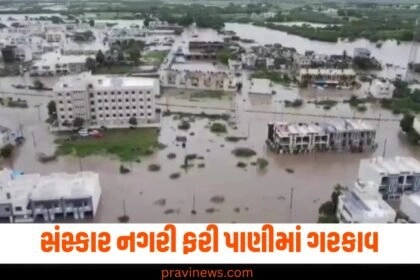 સંસ્કાર નગરી ફરી પાણીમાં ગરકાવ, IMDએ જાહેર કર્યું રેડ અલર્ટ https://www.pravinews.com/gujarat-news/vadodara-news/page/2