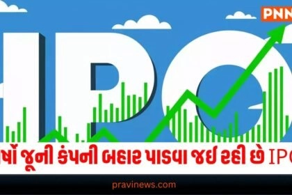 આટલા વર્ષો જૂની કંપની બહાર પાડવા જઈ રહી છે આટલા રૂપિયાના ઇશ્યૂ સાથેનો IPO. https://www.pravinews.com/tag/ipo/page/2