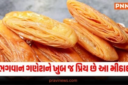 ભગવાન ગણેશને ખુબ જ પ્રિય છે આ મીઠાઈ,આ સરળ રીતે ઘરે જ તૈયાર કરો https://www.pravinews.com/tag/food-news