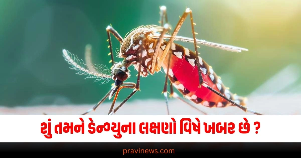 ડેન્ગ્યુના લક્ષણો વિષે ખબર છે ? ના ખબર હોય તો જાણી લેજો ખતરનાક સાબિત થઇ શકે છે ડેન્ગ્યુ https://www.pravinews.com/lifestyle/health-fitness/report-these-new-symptoms-are-seen-in-dengue-patients-overdose-of-paracetamol-is-proving-to-be-dangerous-38700