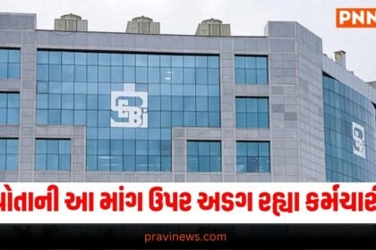 business news business news in gujarati