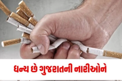 ફસાનું કેન્સર, મોઢાનું કેન્સર, પેટનું કેન્સર, ગળાનું કેન્સર, લીવર કેન્સર, બ્લડ કેન્સર, કિડની કેન્સર