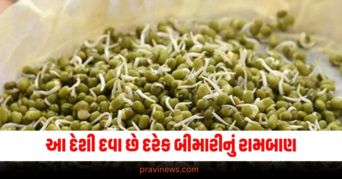 રાતે પલાળો અને સવારે ખાઈ લ્યો, આ દેશી દવા છે દરેક બીમારીનું રામબાણ https://www.pravinews.com/education/neet-topper-story-who-cracked-neet-exam-with-air-all-india-1st-rank-navdeep-singh-become-doctor-family-shocked-after-found-this-news-maulana-azad-medical-college-38178