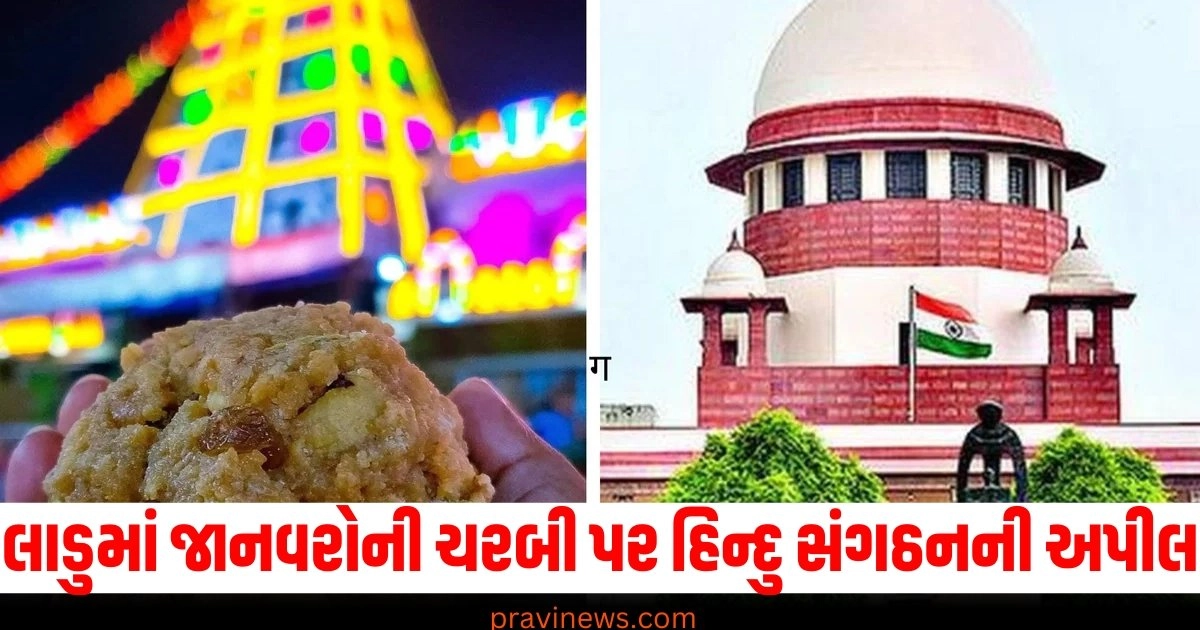 લાડુમાં જાનવરોની ચરબી પર હિન્દુ સંગઠનની અપીલ, સુપ્રીમ કોર્ટે પગલાં લેવા જોઈએ https://www.pravinews.com/world-news-in-gujarati/haryana-election-kumari-shailaja-anger-gone-away-now-rally-on-26th-september-40216