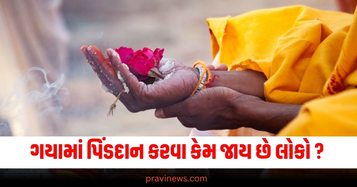 ગયામાં પિંડદાન કરવા કેમ જાય છે લોકો ? શું છે ગયામાં પિંડદાન કરવાનું રહસ્ય ? https://www.pravinews.com/food/quick-and-easy-5-tasty-snacks-to-satisfy-evening-cravings-38376