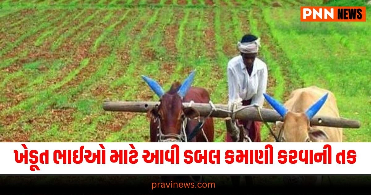 Gujarat Farmers : આ યોજના થી ખેડૂત ભાઈઓ માટે આવી ડબલ કમાણી કરવાની તક, જલ્દીથી જાણી લો કેવી રીતે કરડો અરજી https://www.pravinews.com/gujarat-news/gujarat-government-krishi-vaniki-yojana-farmers-can-earn-extra-with-this-scheme-33427