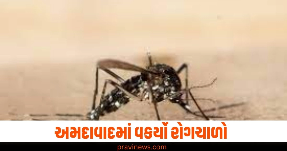 અમદાવાદ, રોગચાળો, 500, દર્દીઓ, મહિનો,