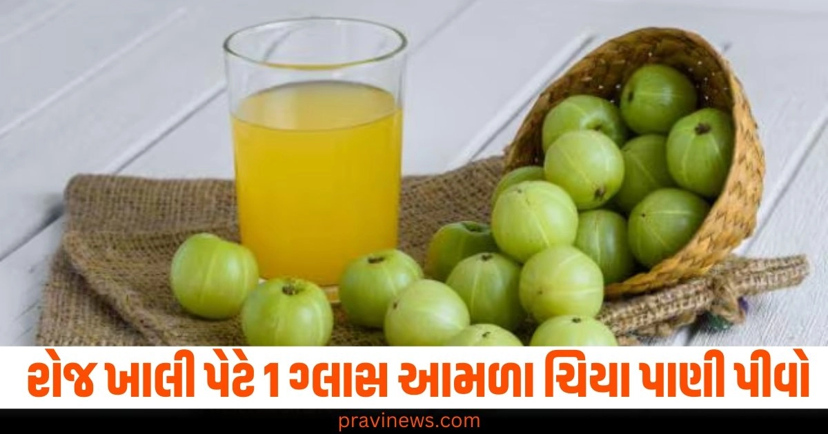 રોજ ખાલી પેટે 1 ગ્લાસ આમળા ચિયા પાણી પીવો, શરીરને અગણિત ફાયદા થશે https://www.pravinews.com/world-news-in-gujarati/noel-tata-appointed-ratan-tata-trust-chairman-45853