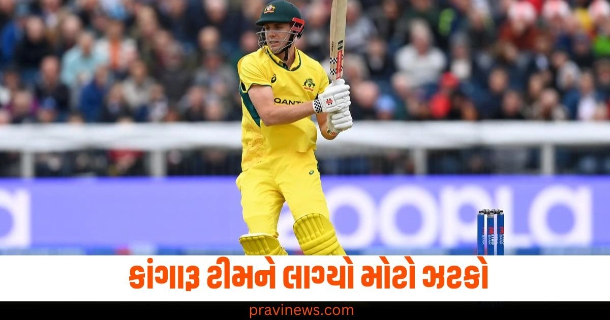 "border-gavaskar","trophy","cameron","green","india","vs","australia"Cameron Green, Cameron Green news, Sheffield Shield, Border Gavaskar Trophy, Cricket Australia, India vs Australia, Cricket News