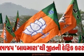 શું ભાજપ 'બાઘમારા'થી જીતની હેટ્રિક કરશે? જાણો આ બેઠકનો ચૂંટણી ઈતિહાસ https://www.pravinews.com/assembly-elections-jharkhand/jharkhand-assembly-election-2024-jmm-releases-first-list-of-35-candidates-know-who-got-ticket-from-where-50071