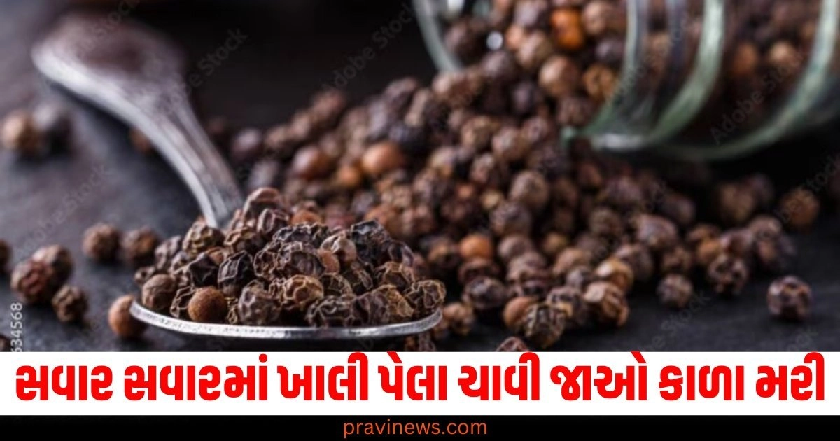 સવાર સવારમાં ખાલી પેલા ચાવી જાઓ કાળા મરી, સ્વાસ્થ્યમાં તમને મળશે અઢળક ફાયદો https://www.pravinews.com/lifestyle/fashion-news/fashion-best-fashion-tips-for-men-to-look-stylish-and-handsome-on-diwali-43275